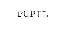 PUPIL