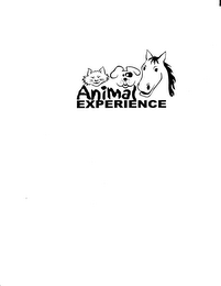 ANIMAL EXPERIENCE