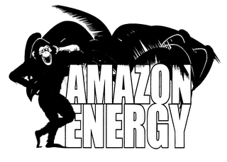 AMAZON ENERGY