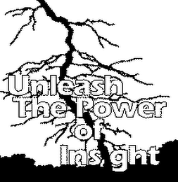 UNLEASH THE POWER OF INSIGHT