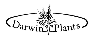 DARWIN PLANTS