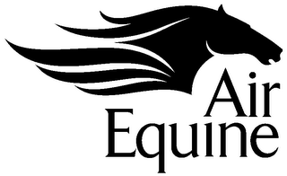 AIR EQUINE