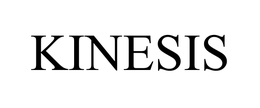 KINESIS CORPORATION