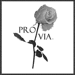 PRO VIA