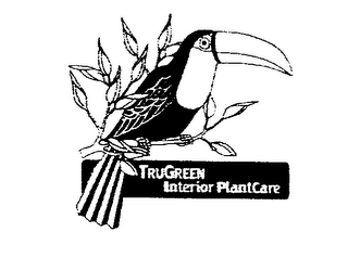 TRUGREEN INTERIOR PLANTCARE