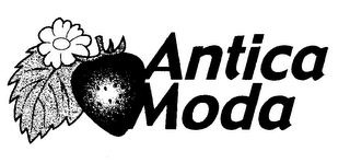 ANTICA MODA