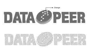 DATA PEER