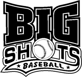 BIG SHOTS BASEBALL