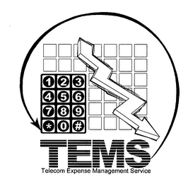 TEMS; TELECOM EXPENSE MANAGEMENT SERVICE