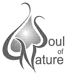 SOUL OF NATURE