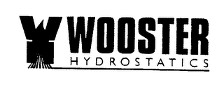 WH WOOSTER HYDROSTATICS