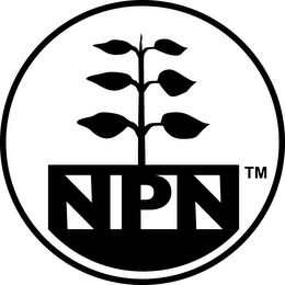 NPN