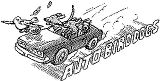 AUTO BIRD DOGS