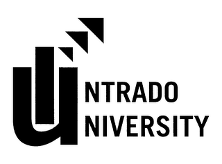 INTRADO UNIVERSITY IN LOGO