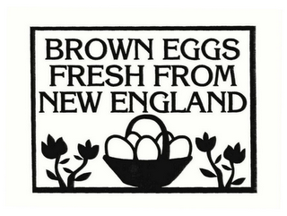 BROWN EGGS FRESH FROM NEW ENGLAND