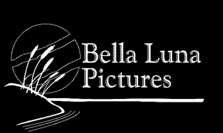 BELLA LUNA PICTURES