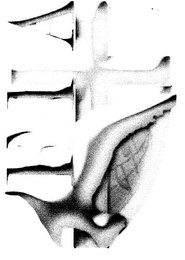 FAITH IN ACTION! MINISTRIES, INC.