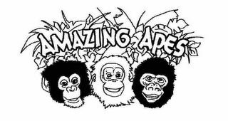 AMAZING APES