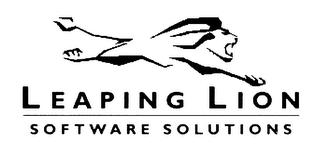 LEAPING LION SOFTWARE SOLUTIONS