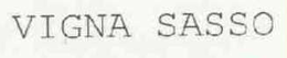 VIGNA SASSO