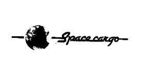 SPACE CARGO