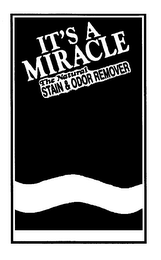 IT'S A MIRACLE THE NATURAL STAIN & ODOR REMOVER