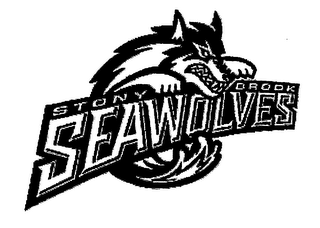 STONY BROOK SEAWOLVES