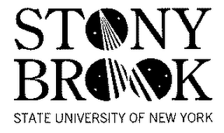 STONY BROOK STATE UNIVERSITY OF NEW YORK