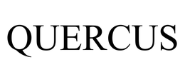QUERCUS