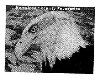 HOMELAND SECURITY FOUNDATION