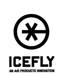 ICEFLY