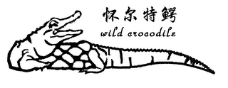 WILD CROCODILE