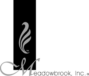 MEADOWBROOK RESEARCH, INC.