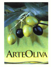 ARTEOLIVA