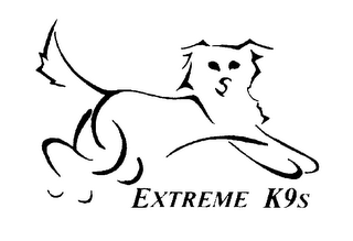 EXTREME K9S