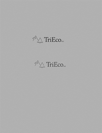 TRIECO LLC