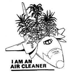 I AM AN AIR CLEANER