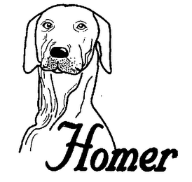 HOMER