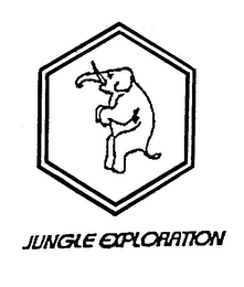JUNGLE EXPLORATION