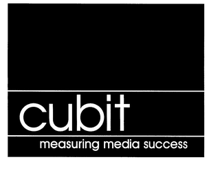 CUBIT MEASURING MEDIA SUCCESS