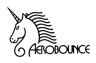 AEROBOUNCE