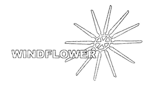 WINDFLOWER