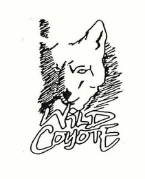 WILD COYOTE