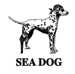 SEA DOG