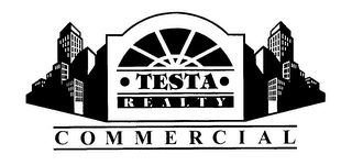 TESTA REALTY COMMERCIAL