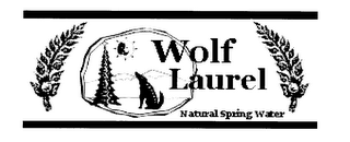 WOLF LAUREL NATURAL SPRING WATER