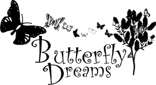 BUTTERFLY DREAMS