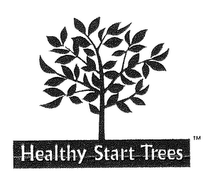 HEALTHY START TREES