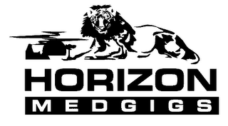 HORIZON MEDGIGS