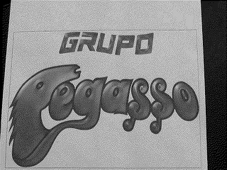 GRUPO PEGASSO